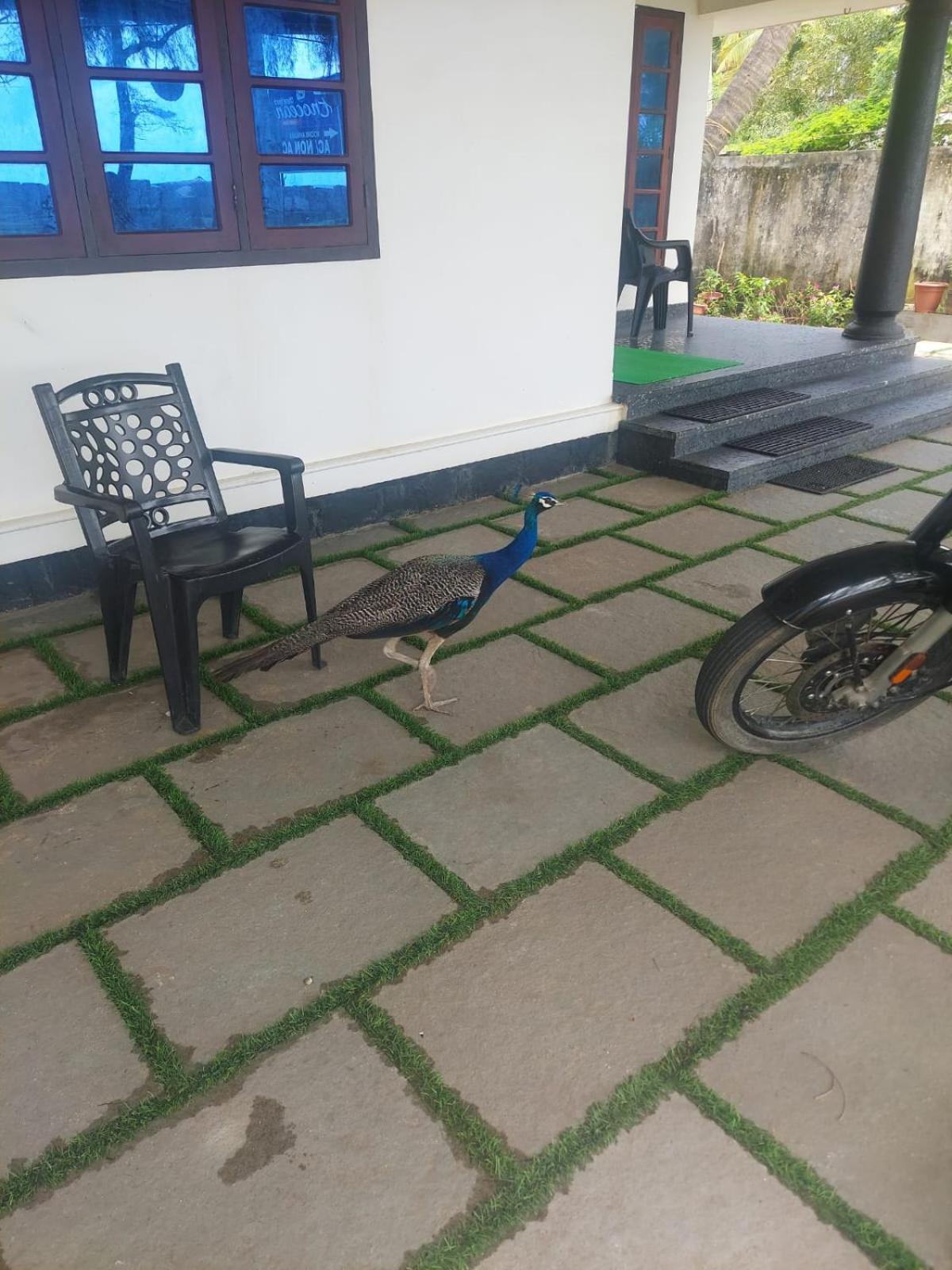 Enocean Homestay Черай-Бич Экстерьер фото